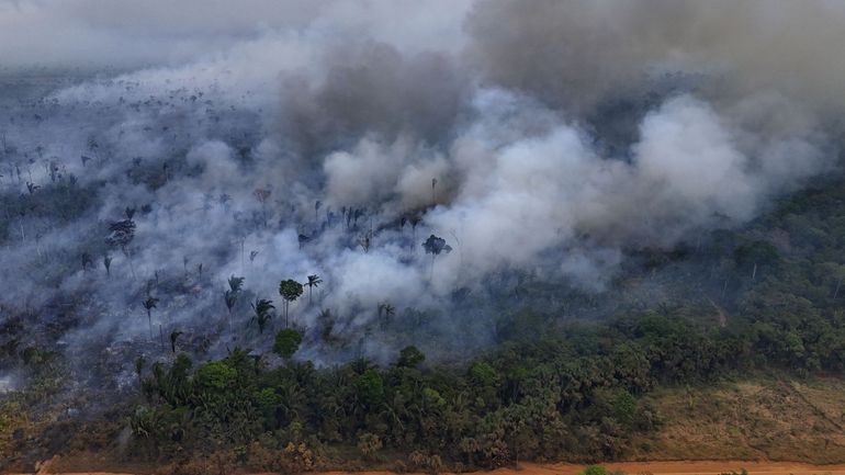 Brésil : la surface brûlée en Amazonie en 2024 deux fois supérieure à la moyenne historique