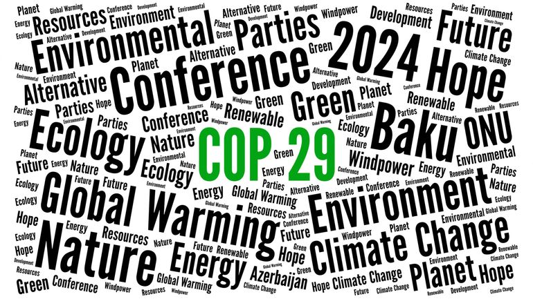 Début de la COP29 à Bakou : pourquoi est-elle dénommée 