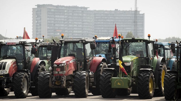 Anvers : des centaines d'agriculteurs manifestent en tracteur contre le plan azote flamand