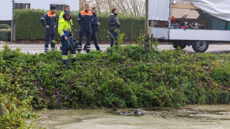 Une arme peut-être liée aux tueurs du Brabant repêchée dans le canal de Damme