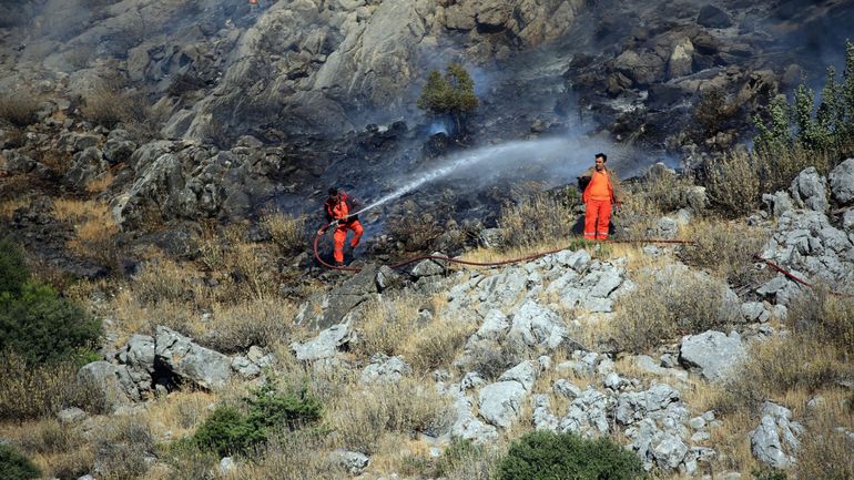 Turquie : trois morts dans un feu de forêt près d'un site touristique