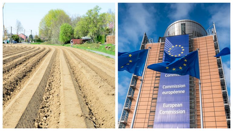 Pourquoi les agriculteurs protestent contre le projet de budget de la politique agricole commune (PAC) ?
