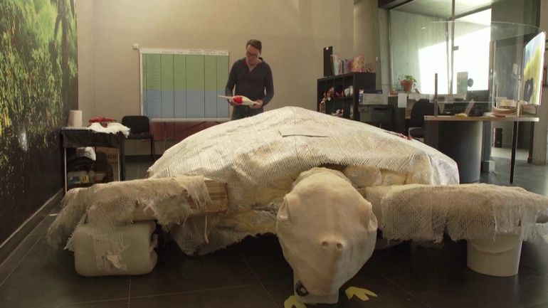 Espagne : des paléontologues découvrent une tortue marine géante de 3,7 mètres de diamètre