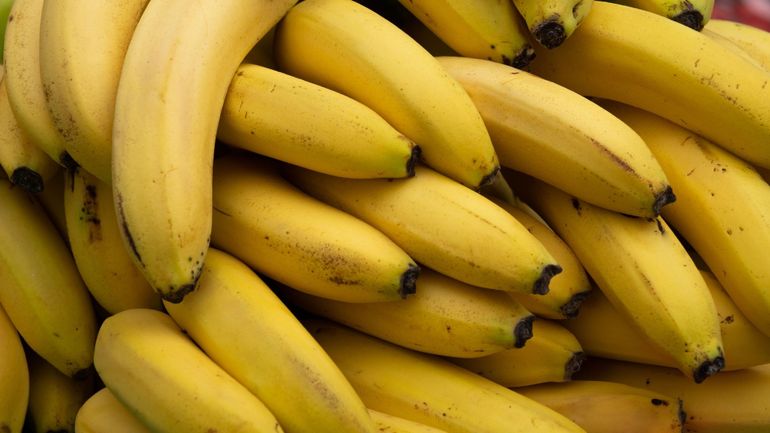 Bananes : cinq grands magasins s'accordent pour garantir de meilleurs revenus aux travailleurs