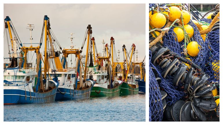 Pêche : 95% des navires néerlandais ayant reçu une 