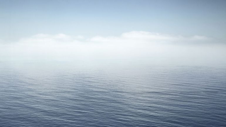 Accord à l'ONU pour protéger la haute mer : pourquoi ce traité revêt une importance capitale