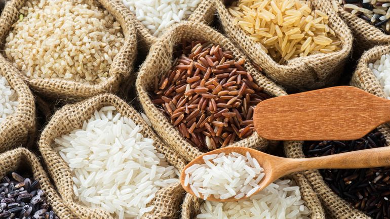 Le riz, roi des féculents en magasin