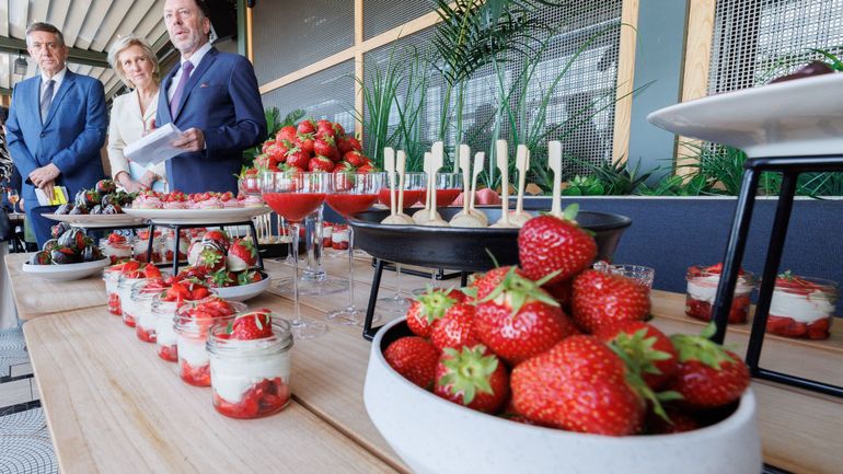 Mission économique en Norvège : à Oslo, la princesse Astrid vante les atouts des fraises belges