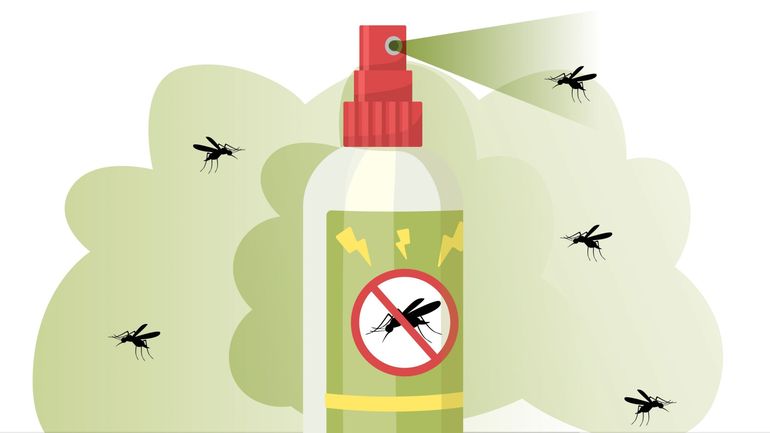 Jeux olympiques de Paris 2024 : gare aux moustiques, les cas de dengues importés ou locaux augmentent en Europe