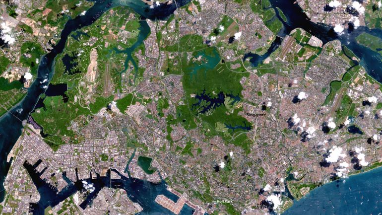 L'image satellite du jour : les jardins thérapeutiques de Singapour