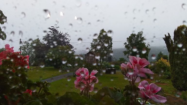 Météo en Belgique : un lundi sous les nuages et la pluie, avec un avertissement jaune de l'IRM