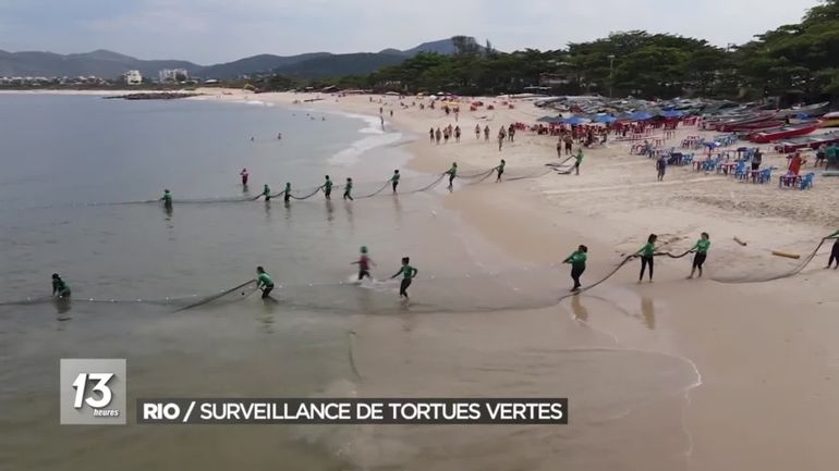 Brésil : sur les côtes de Rio, surveillance accrue des tortues vertes et sensibilisation des pêcheurs