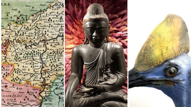 Trezoors : une application pour découvrir les trésors de nos musées universitaires image