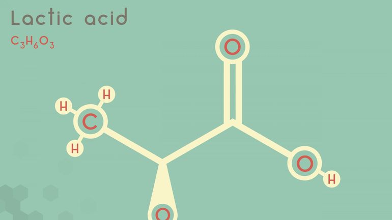 Des scientifiques confirment le rôle de l'acide lactique dans les septicémies