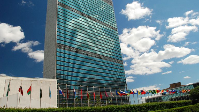 Guerre Israël-Gaza : le Conseil de sécurité de l'ONU appelle à des 