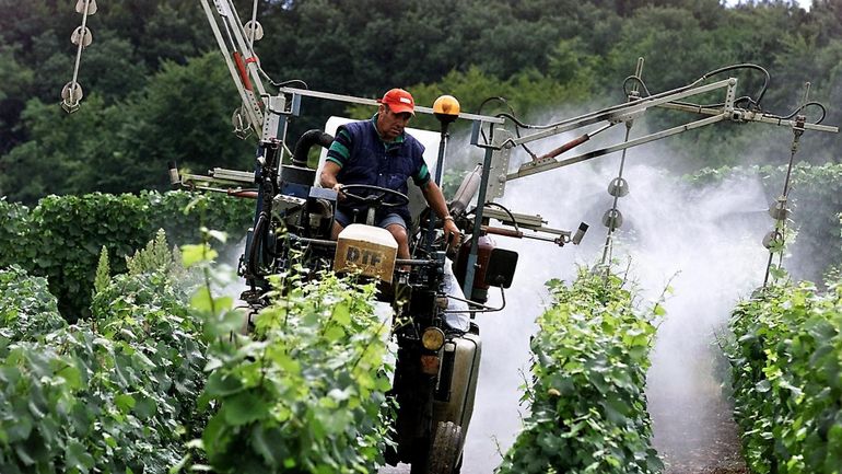 En France, vivre près d’un vignoble, c’est être exposé aux pesticides