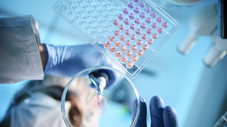 Des chercheurs néerlandais cultivent le premier embryon de jumeau humain sans utiliser d'ovule ou de spermatozoïdes