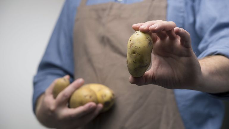 La pomme de terre enrichit l'industrie mais pas les agriculteurs, selon un rapport de Greenpeace