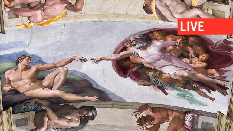 Direct : qui sera le 267e pape ? Les cardinaux électeurs pénètrent et s'installent dans la Chapelle Sixtine, le conclave va commencer