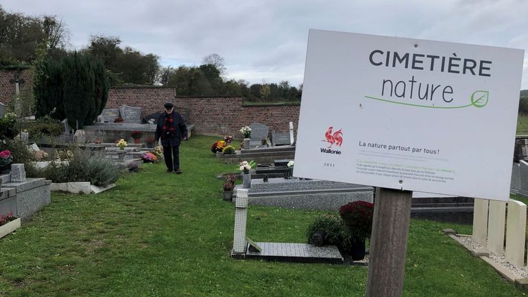 Les "cimetières nature" : quand la végétation se développe dans les cimetières de Wallonie