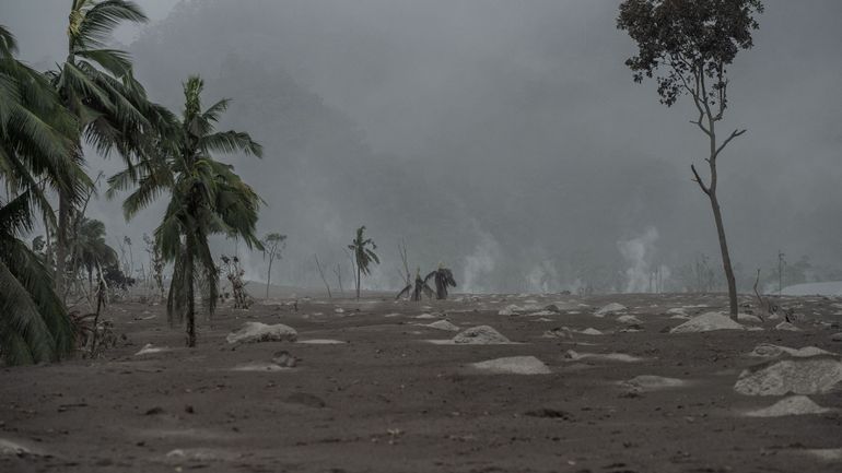 Indonésie : le bilan de l'éruption du volcan Semeru passe à 15 morts