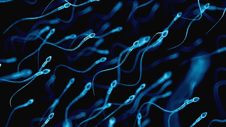 Anonymat, pénurie, prérequis, cadre légal et conservation : le point sur le don de sperme