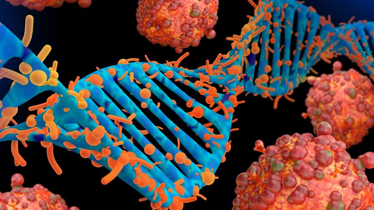 482 cas de variole du singe en Belgique : Sciensano met en garde contre des présentations atypiques de la maladie