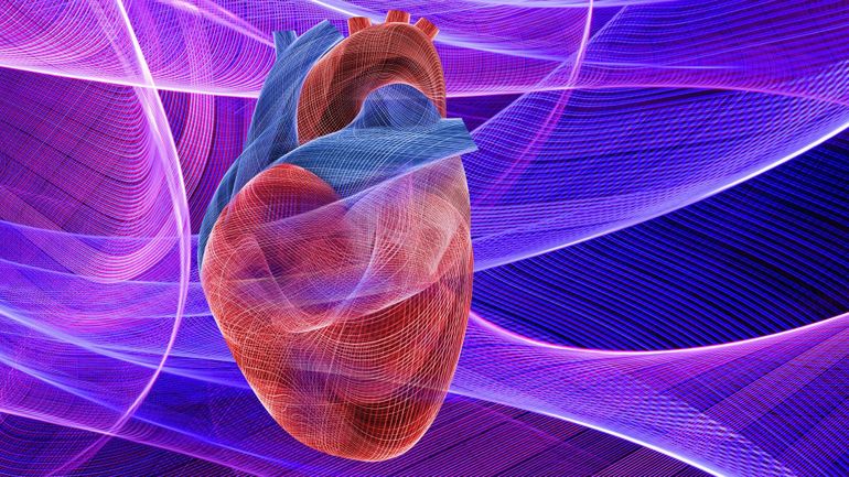 Une première belge : une double pompe implantée chez un patient souffrant d'insuffisance cardiaque aiguë