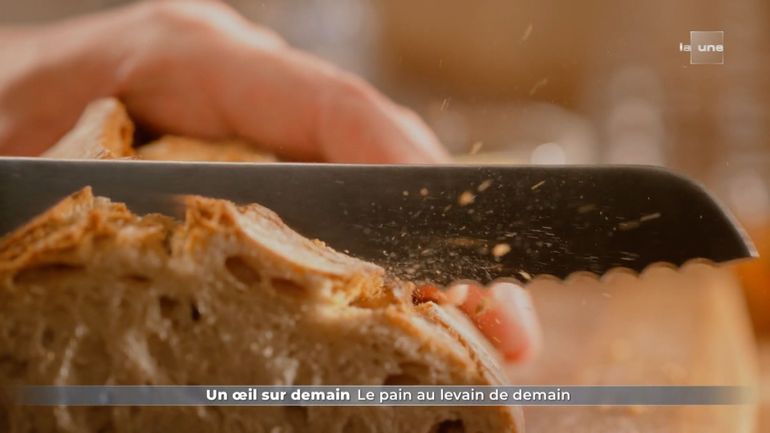 Du pain au levain meilleur pour la santé : des chercheurs y travaillent