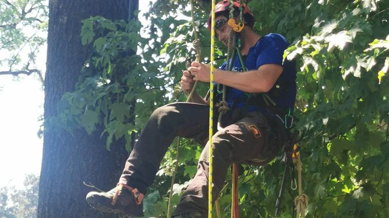 Devenir le meilleur arboriste-élagueur de Belgique