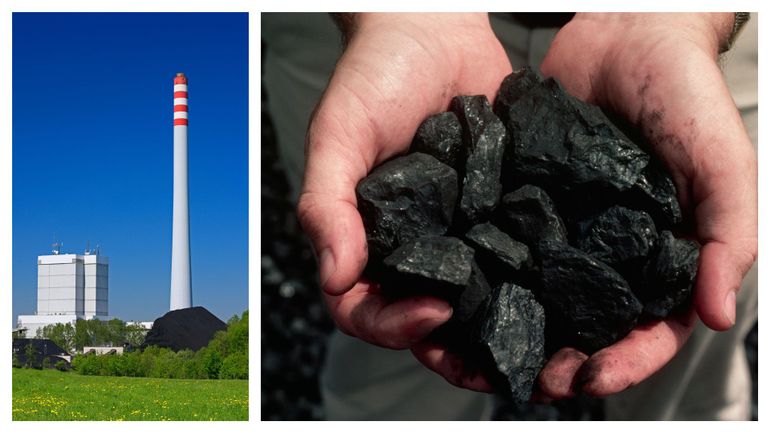 Guerre en Ukraine : devant un gaz russe qui se tarit, l'Autriche s'apprête à réactiver une centrale à charbon