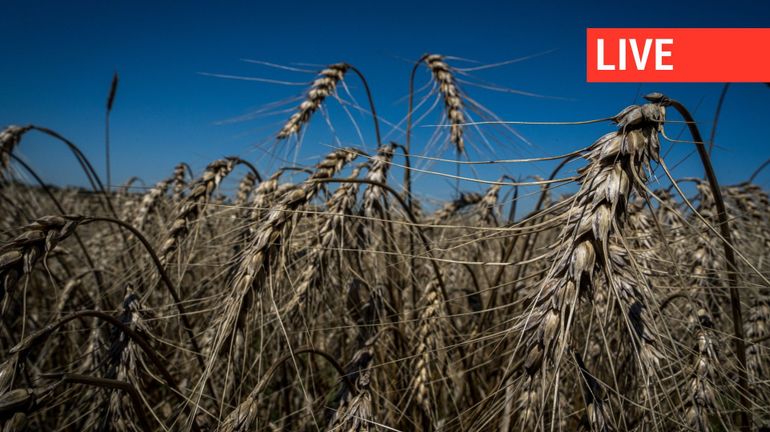 Direct - Guerre en Ukraine : Kiev aurait exporté 3,7 millions de tonnes de céréales depuis l'accord soutenu par l'ONU