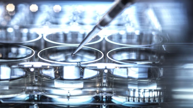 Des professeurs de la KU Leuven et de l'ULB primés pour leurs recherches sur le cancer