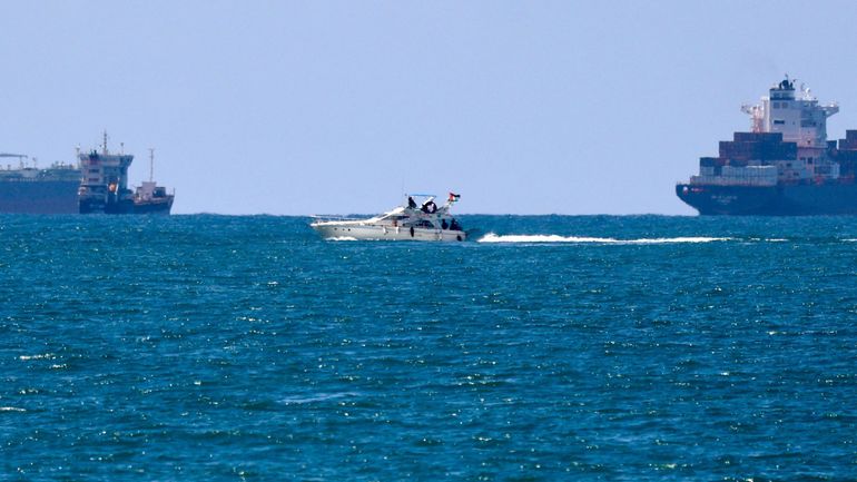 Quatre Belges de la flottille pour Gaza libérés : 