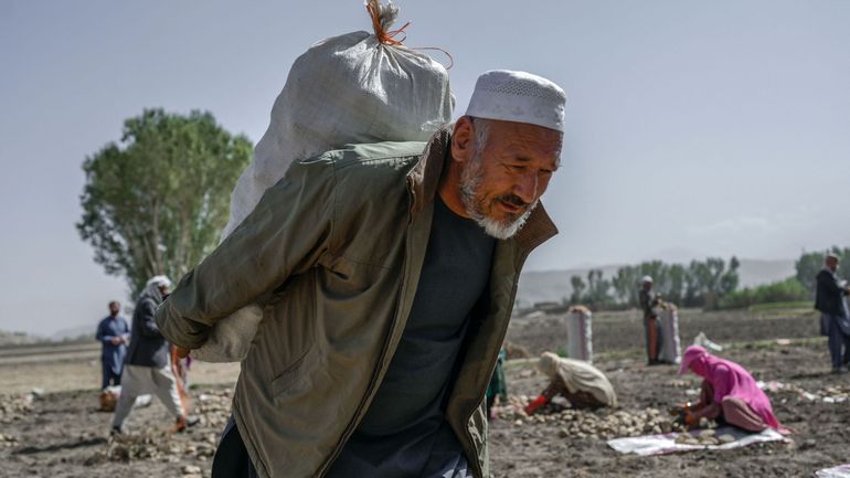 Du blé contre des travaux : les talibans lancent un plan censé lutter contre la faim et le chômage en Afghanistan