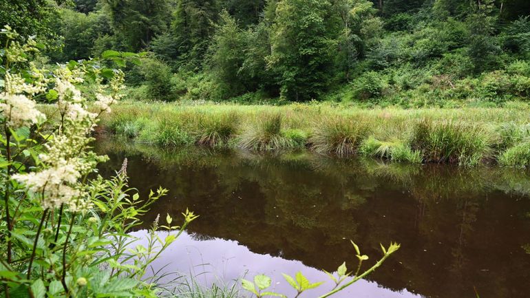 La Wallonie lance une campagne pour rappeler que les rivières ne sont pas des poubelles