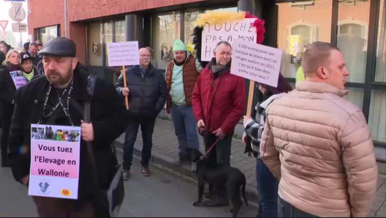Namur : manifestation des éleveurs devant le cabinet de la ministre Céline Tellier