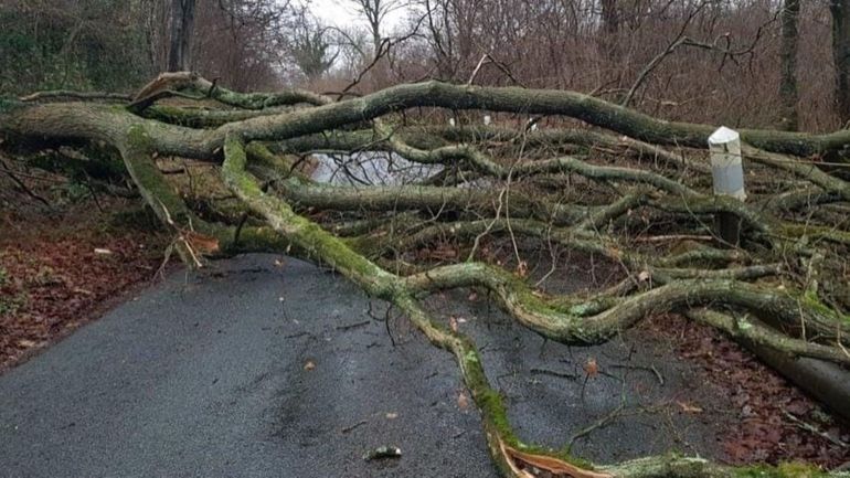 Tempête Eunice : un décès à Ypres
