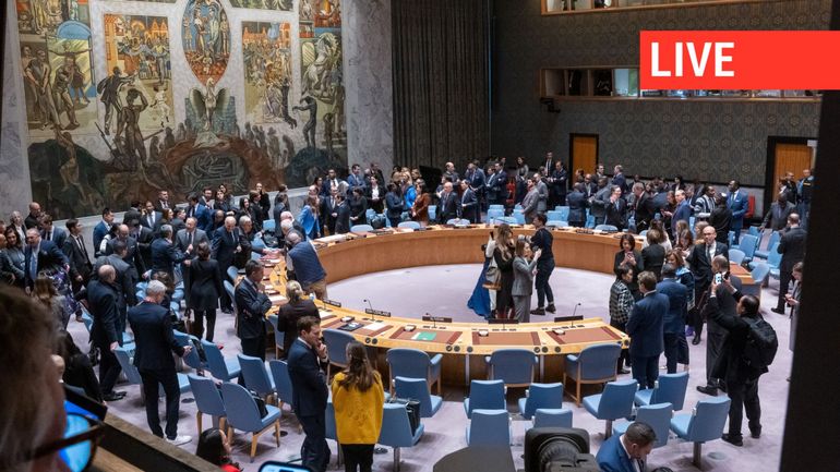 Direct - Guerre Israël-Gaza : au Conseil de sécurité de l'ONU, les Etats-Unis bloquent la résolution de cessez-le-feu 