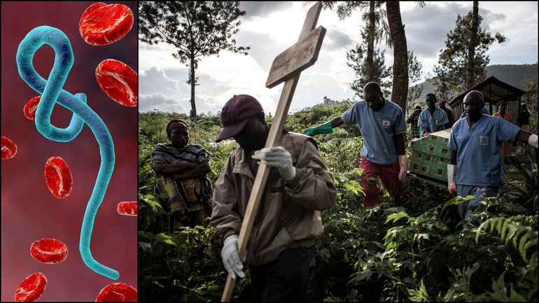 Origine, symptômes, traitements... Ebola, l'autre virus tueur qui tourmente l'Afrique depuis près de 50 ans