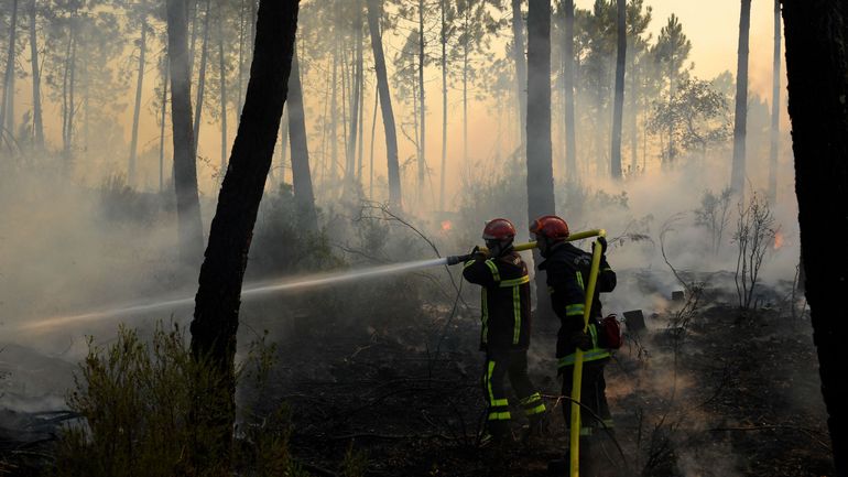 Au moins 600 hectares touchés par un incendie dans le sud de la France