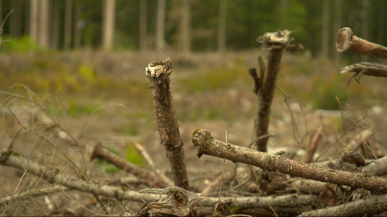 Plus de 300 propriétaires wallons engagés dans le projet 