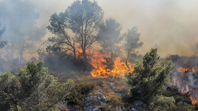 France : les Bouches-du-Rhône en vigilance rouge aux feux de forêt ce week-end