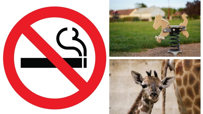 Parcs d'attractions, zoos, terrains sportifs, plaines de jeux& La Chambre bannit la cigarette de plusieurs nouveaux espaces ouverts