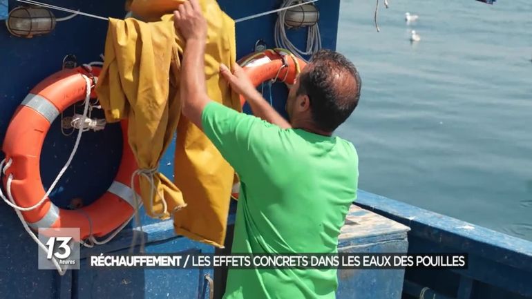 Italie : le réchauffement climatique et la vague de chaleur affectent aussi la pêche en mer et les plages