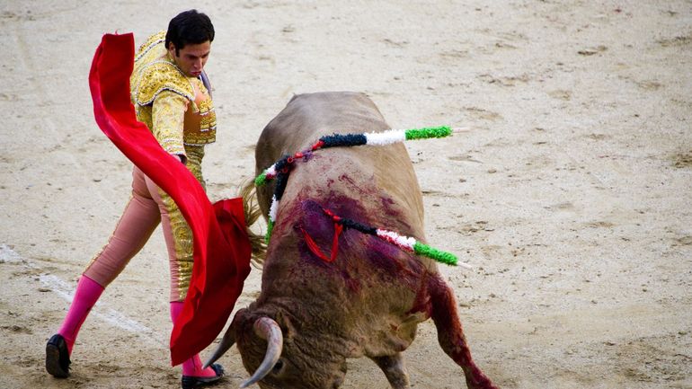 Corridas en Espagne : le gouvernement supprime le prix national de la tauromachie
