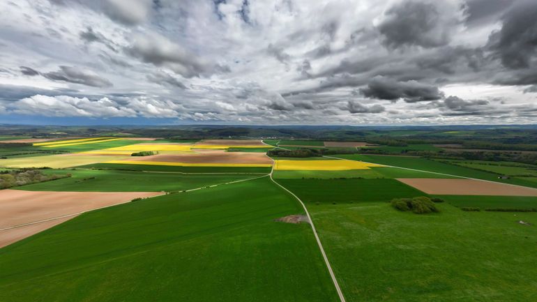 Météo en Belgique : les nuages seront nombreux ce lundi, parfois porteurs d'ondées