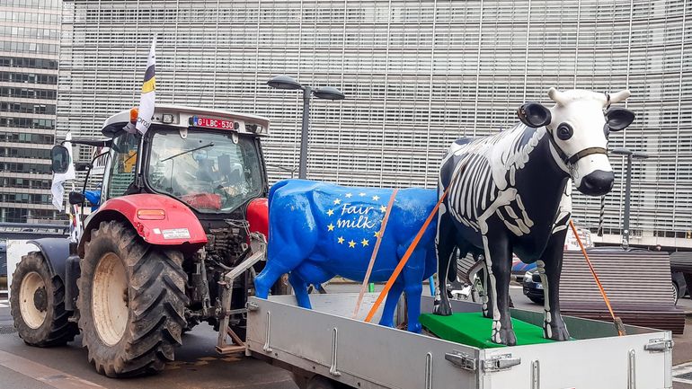 Des producteurs laitiers manifesteront lundi à Bruxelles, des embarras de circulation sont attendus