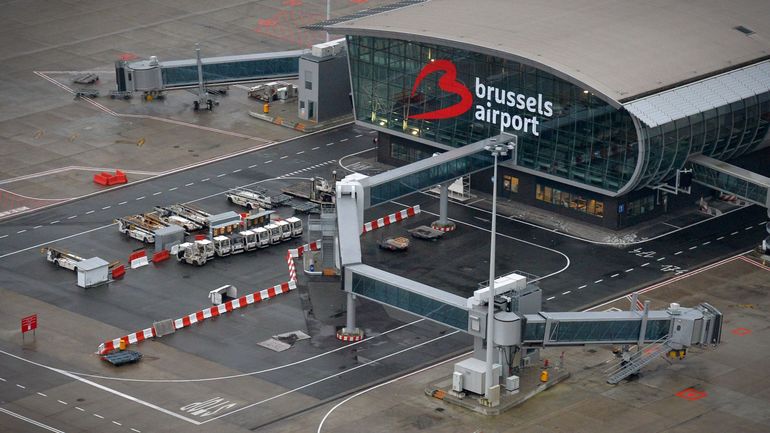 Six personnes arrêtées à Brussels Airport pour trafic de civelles, des petites anguilles protégées