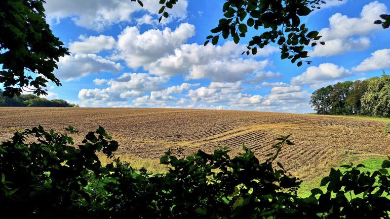 Météo en Belgique : retour des cumulus l’après-midi